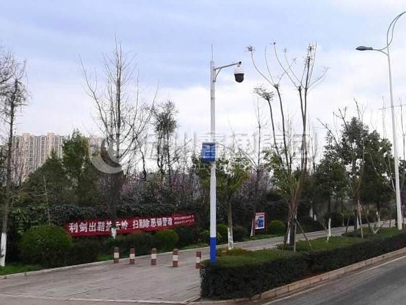 DJG-025，電子警察桿，治安監(jiān)控桿